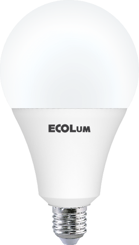 LED Bulb 19W Daylight