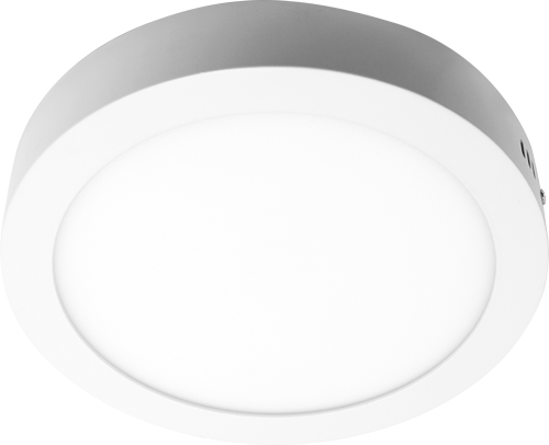 LED Slim Downlight 6W Daylight