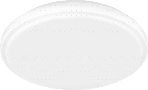 LED Pepper Ceiling Lamp 24W Daylight