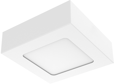 LED Square Surface Slim Downlight 6W Daylight